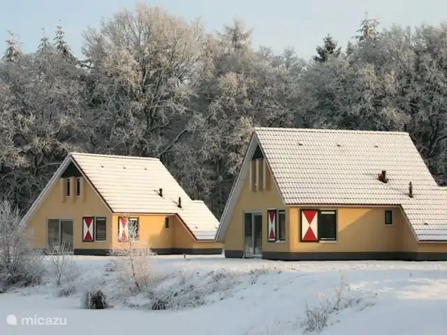 Location de Vacances Pays-Bas, Drenthe, Wezuperbrug, bungalow - Bungalow boisé Drenthe Même en hiver, il est merveilleux de séjourner dans le bungalow, entièrement équipé d'une isolation et d'un magnifique chauffage au sol