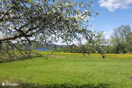 Vakantiehuis Zweden, Värmland, Lakene vakantiehuis Vakantiehuis Värmland