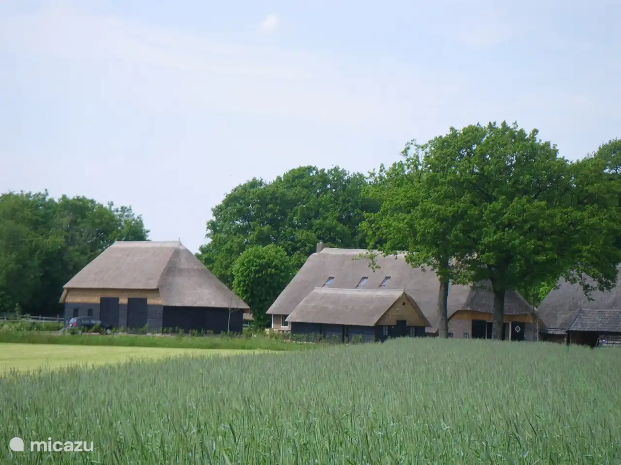boerderij huren in Meppel, Drenthe, Nederland - Gastenverblijf Lheederhof Lodge 1