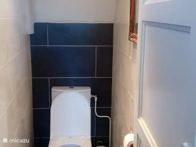 La Collin | France, Allier, Château-sur-Allier - maison de vacances toilettes dans le couloir