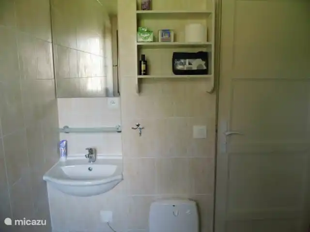 La Collin | France, Allier, Château-sur-Allier - maison de vacances lavabo encastrable