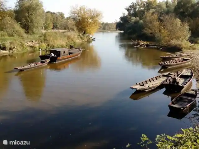 La Collin | France, Allier, Château-sur-Allier - maison de vacances Bateaux sur l'Allier