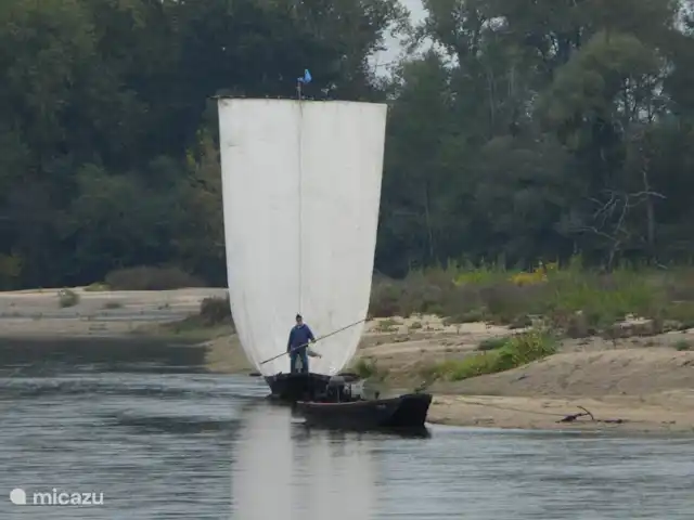 La Collin | France, Allier, Château-sur-Allier - maison de vacances bateaux sur l'allier