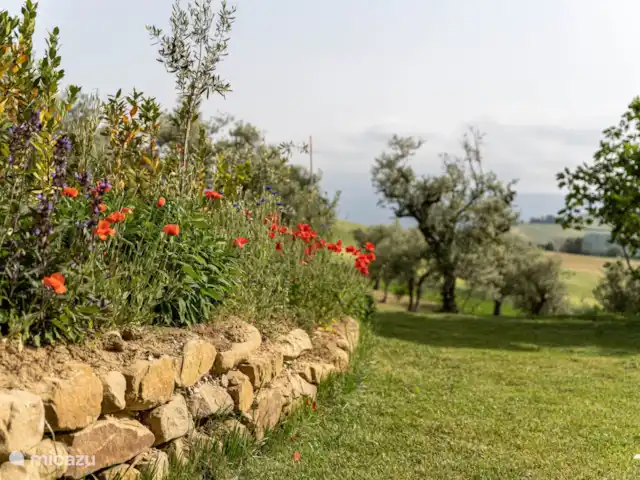 Casa PRIMO Le Marche | Italie, Marche, Tolentino - maison de vacances Le jardin