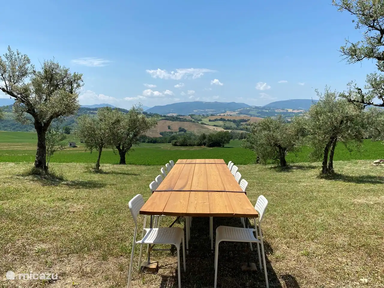 Almuerzo entre los olivos