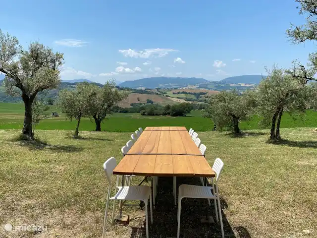 Casa PRIMO Le Marche | Italie, Marche, Tolentino - maison de vacances Déjeuner au milieu des oliviers