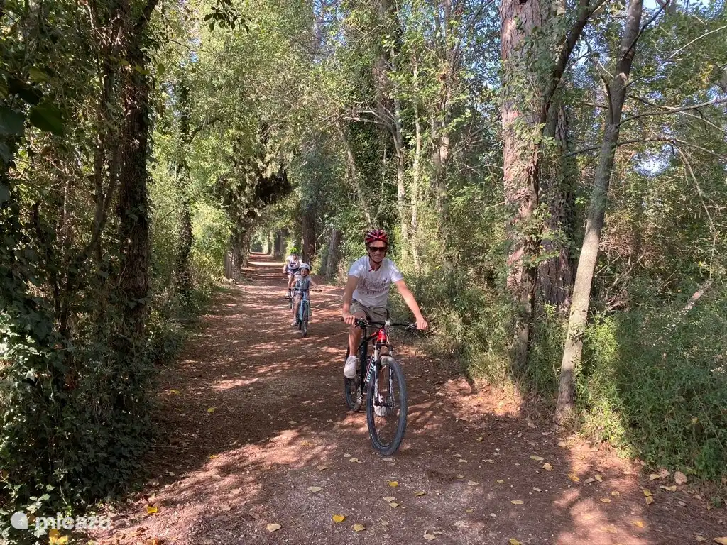 Salir activamente: andar en bicicleta y caminar