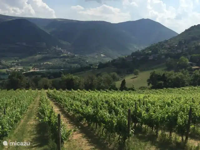 Casa PRIMO Le Marche | Italie, Marche, Tolentino - maison de vacances La ferme viticole