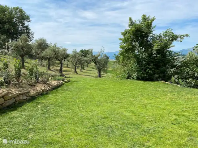 Casa PRIMO Le Marche | Italie, Marche, Tolentino - maison de vacances Le jardin aux oliviers