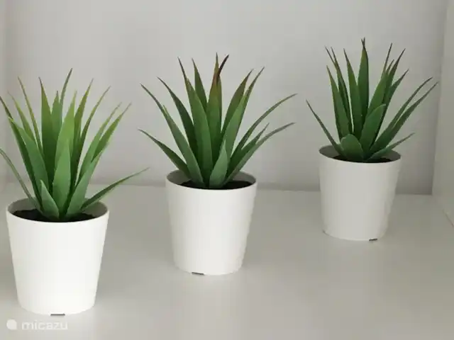 Villa das Hortas huren in Portugal, Costa de Prata, Salir Do Porto - villa Een groen elementje in de living.