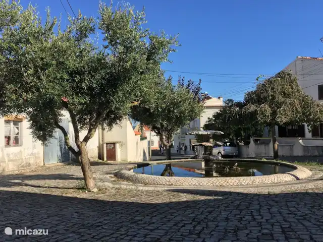 Villa das Hortas huren in Portugal, Costa de Prata, Salir Do Porto - villa De dorpsfontein