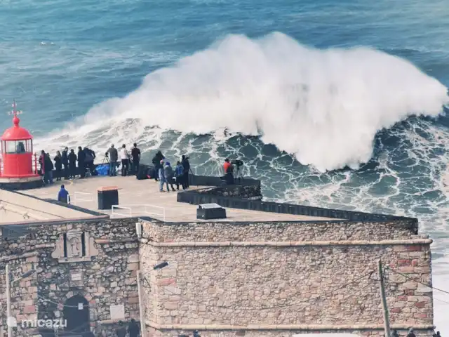 Villa das Hortas huren in Portugal, Costa de Prata, Salir Do Porto - villa Neem het kabeltreintje vanuit Nazaré naar Sitio en bekijk er de hoogste surfgolven ter wereld. Hier zijn al meerdere wereldrecords surfing gebroken.