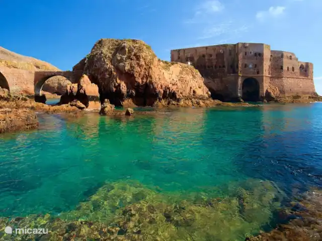 Villa das Hortas huren in Portugal, Costa de Prata, Salir Do Porto - villa Het Berlenga Grande eiland met het fort São João Baptista. U kan er een boottocht met glazen bodem rond het eiland doen met verkenning van baaien en grotten, wandelen door het natuurgebied of het fort bezoeken. Best op voorhand te boeken, er worden maar een gelimiteerd aantal bezoekers toegelaten.