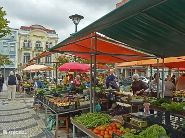 Villa das Hortas huren in Portugal, Costa de Prata, Salir Do Porto - villa Dagelijkse groenten en fruitmarkt in Caldas da Rainha.