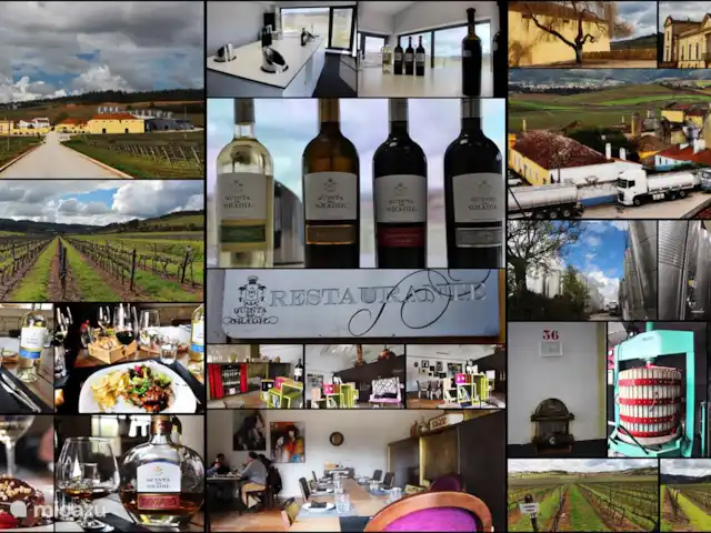 Villa das Hortas huren in Portugal, Costa de Prata, Salir Do Porto - villa Voor de wijnliefhebbers zijn er mogelijkheden tot wijntoerisme. De regio behoort tot de DOP Lisboa. Er is een uitgestippelde wijnroute in de drie deelregio's: Obidos, Alenquer en Torres Vedras. In elke regio is er mogelijkheid tot bezoek aan en proeven bij diverse quintas.