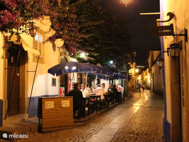 Villa das Hortas huren in Portugal, Costa de Prata, Salir Do Porto - villa Aan de Zilverkust zal je niet omkomen van de honger. Je kan er werkelijk overal lekker eten aan voordelige prijzen. Hier aangenaam en sfeervol tafelen in Obidos.