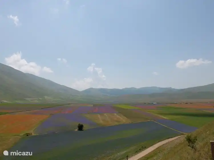 Piano Grande, ein riesiges Plateau auf 1200 m Höhe um Castelluccio di Norcia und eine atemberaubende Oase der Ruhe.