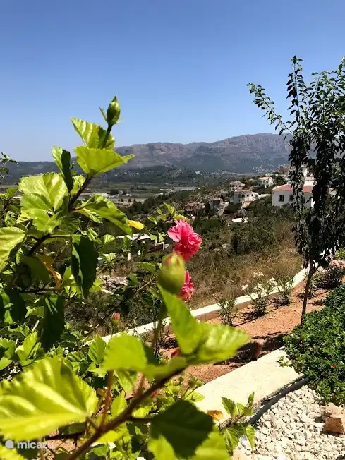 Blick auf das Tal. Wie ist diese Blume?