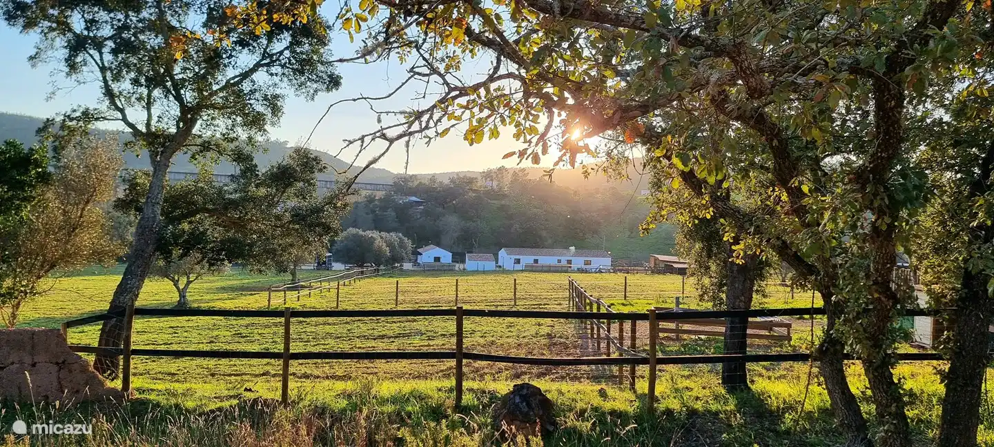 Blick auf die Häuser