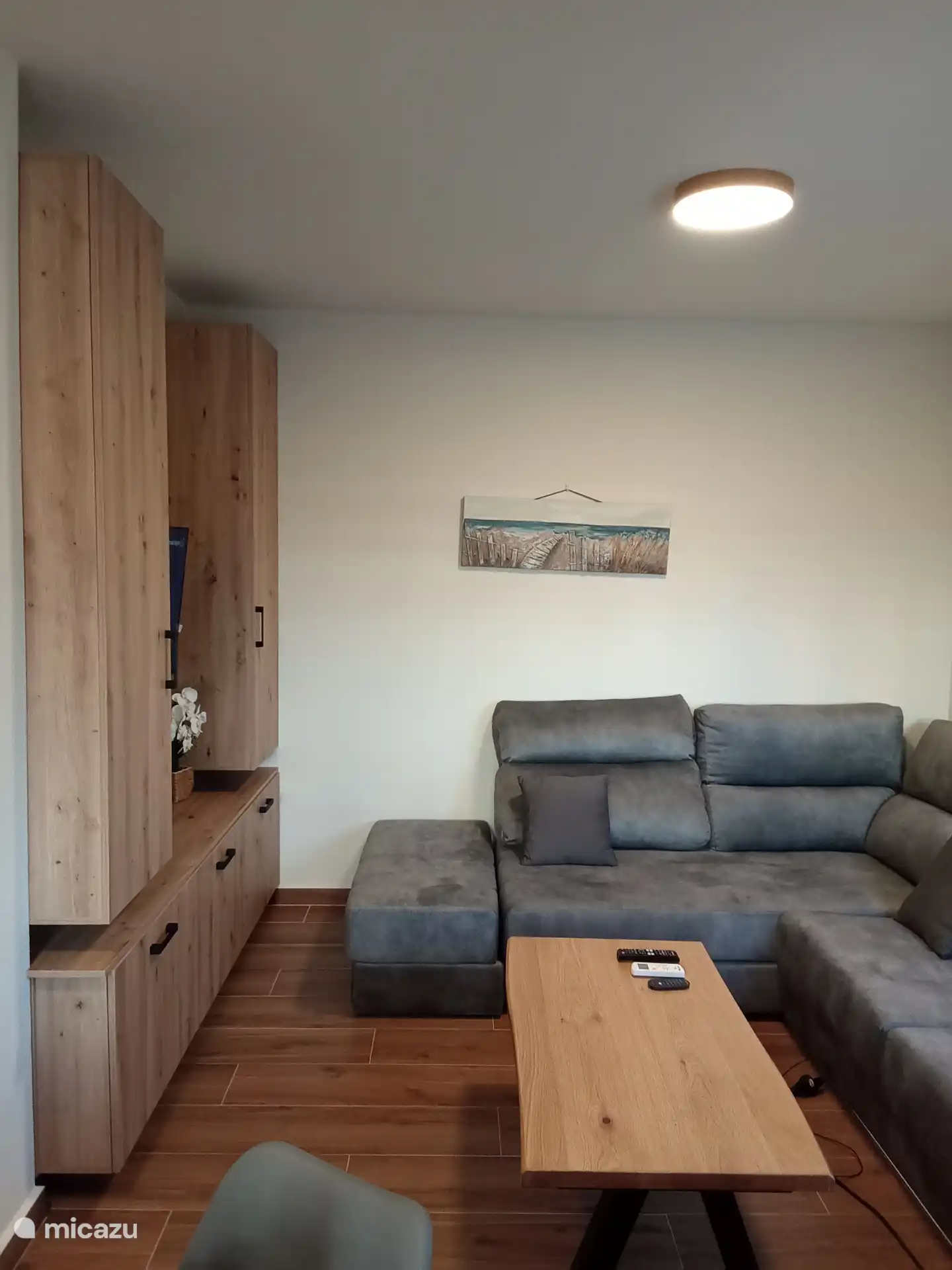 Zona de estar con televisión 