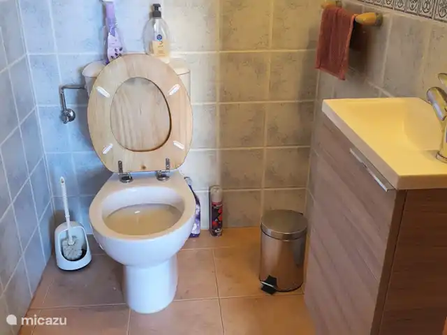 Casa Steven Privézwembad / Jacuzzi huren in Spanje, Costa Blanca, Torrevieja - vakantiehuis Toilet = beneden verdieping