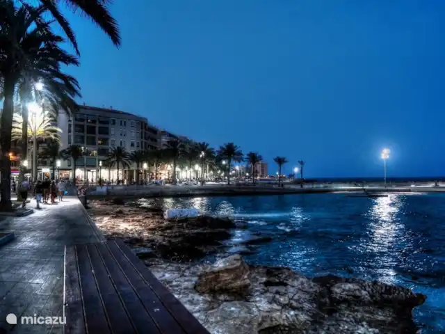 Casa Steven Privézwembad / Jacuzzi huren in Spanje, Costa Blanca, Torrevieja - vakantiehuis Beach Torrevieja Night