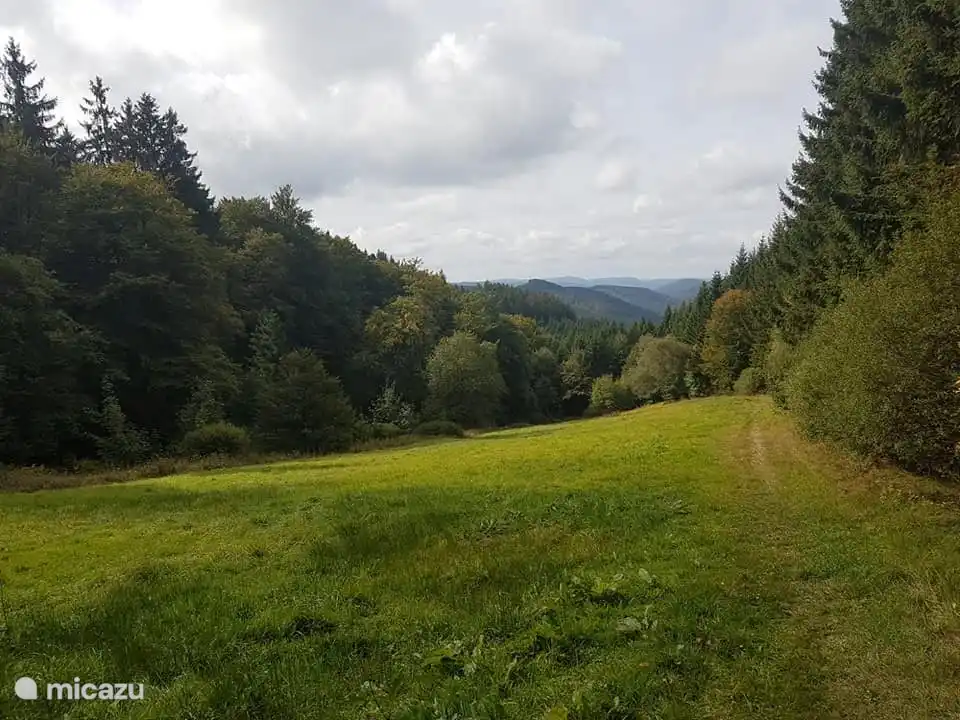 Wandern im Sommer