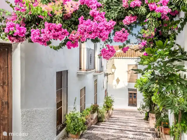 villa huren in Spanje, Costa Tropical, Salobreña – Villa Buena Vista