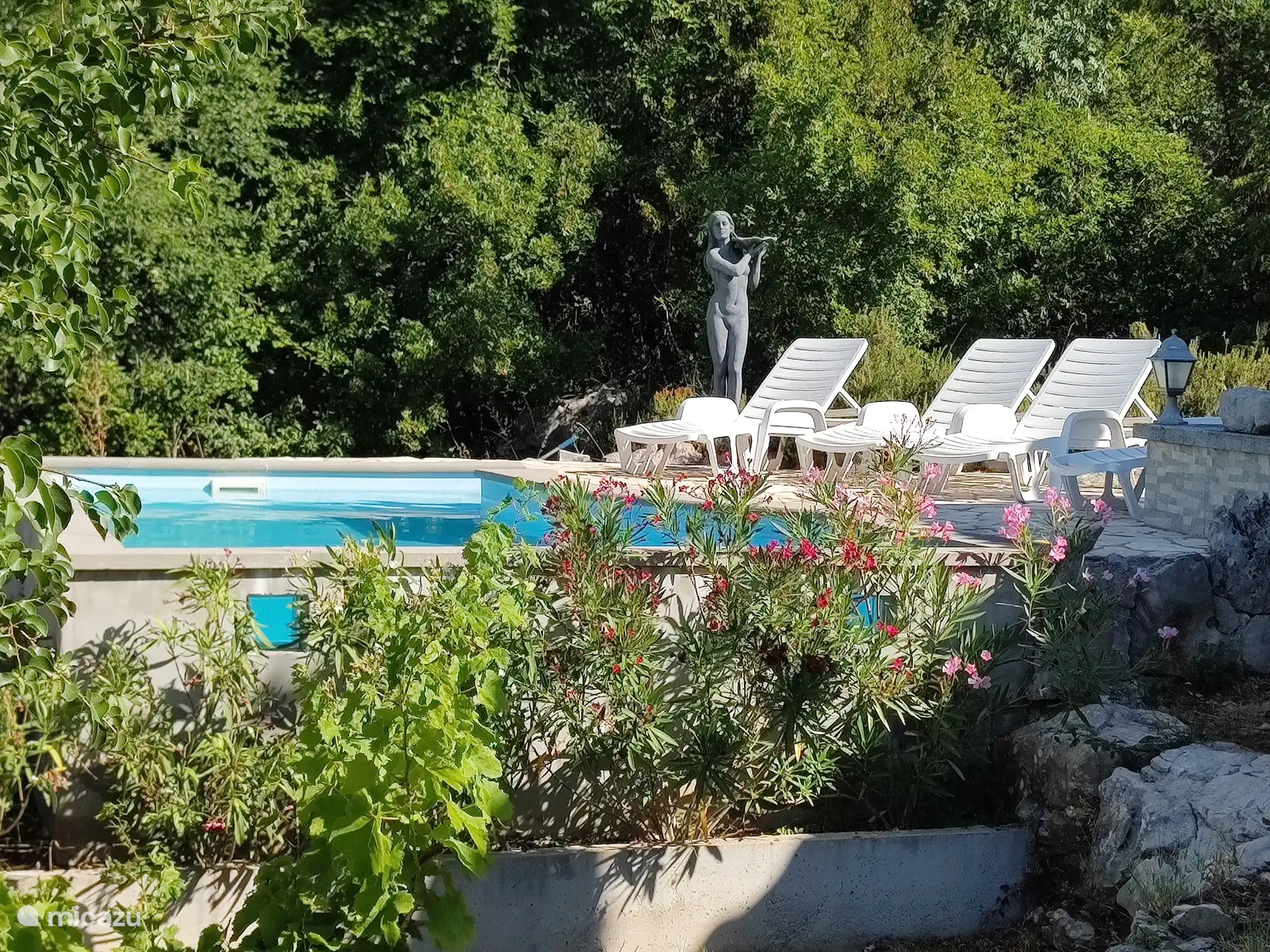 Piscine avec chaises longues