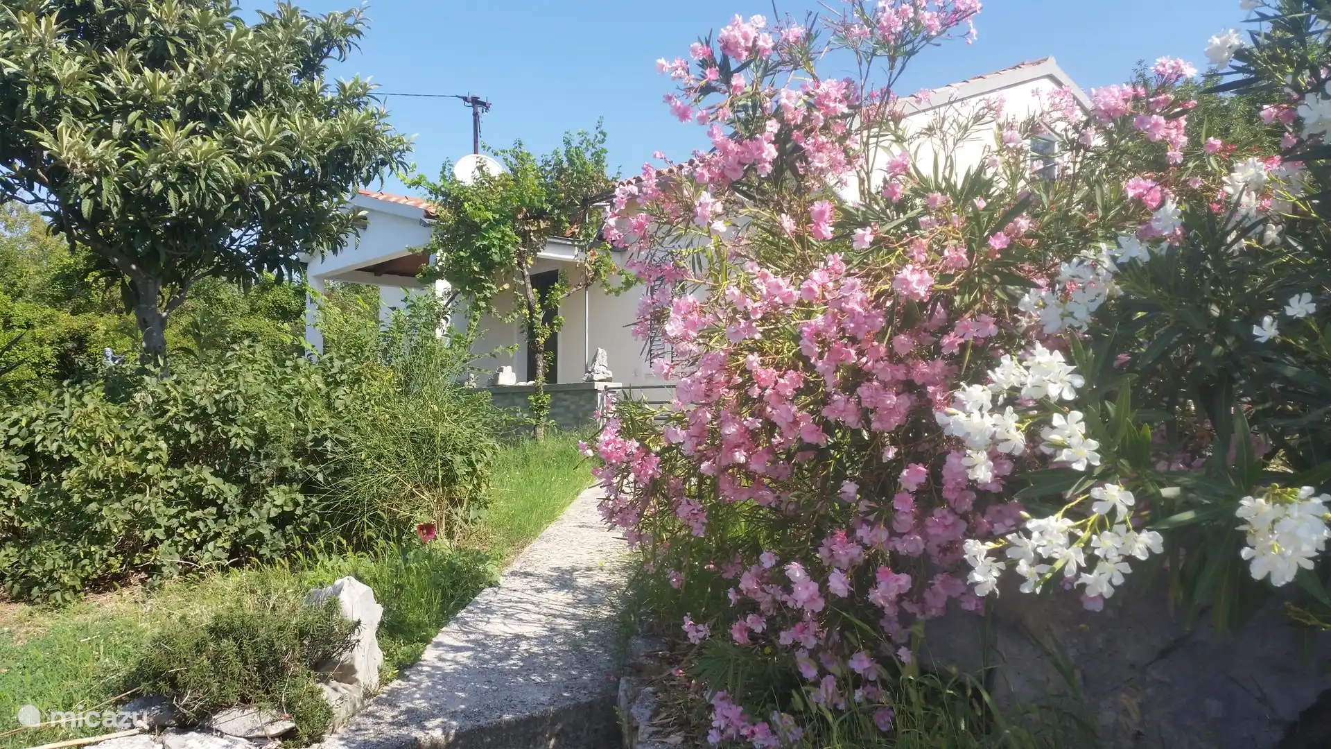 Entrée avec plantes méditerranéennes