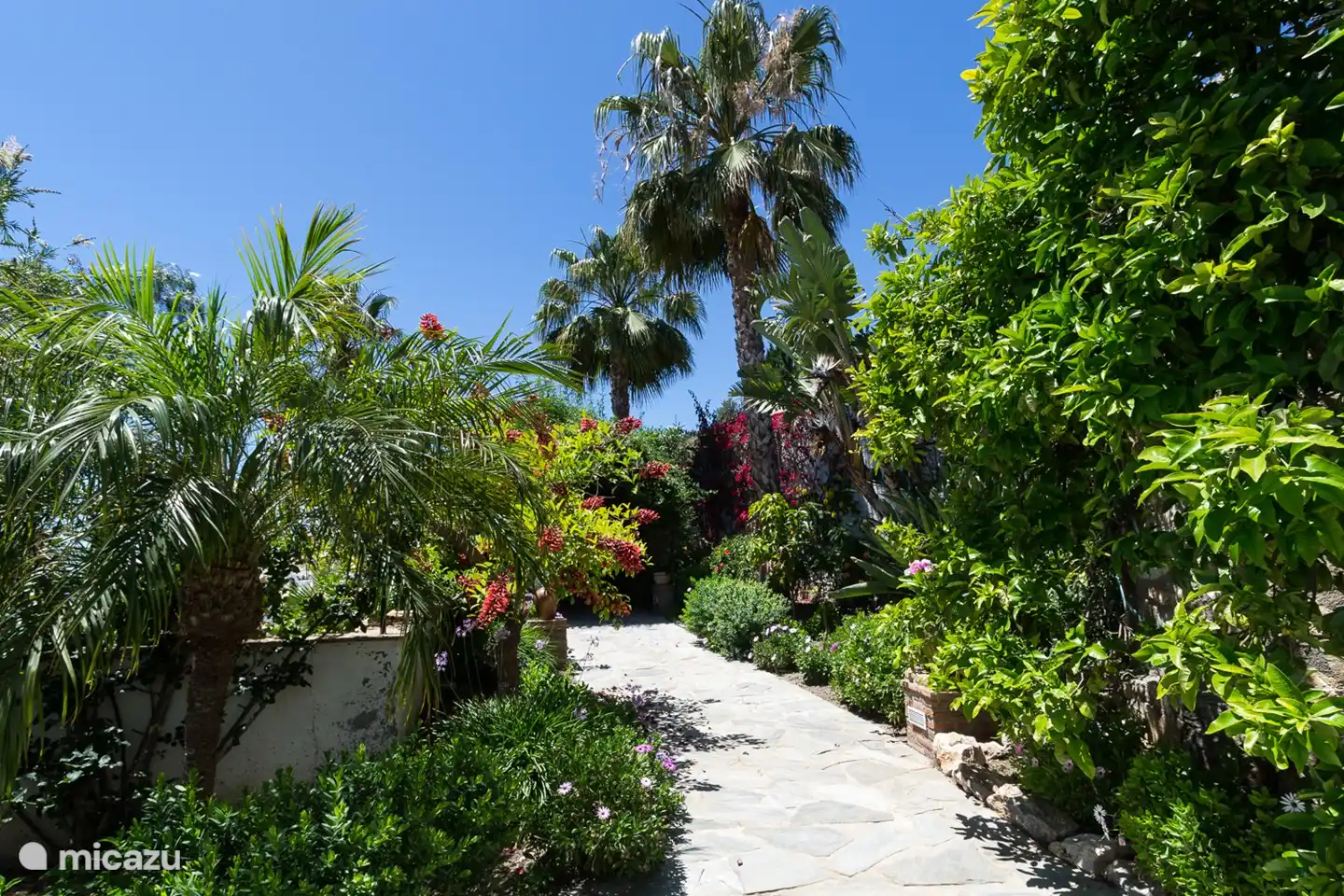 Esmeralda has a beautiful garden