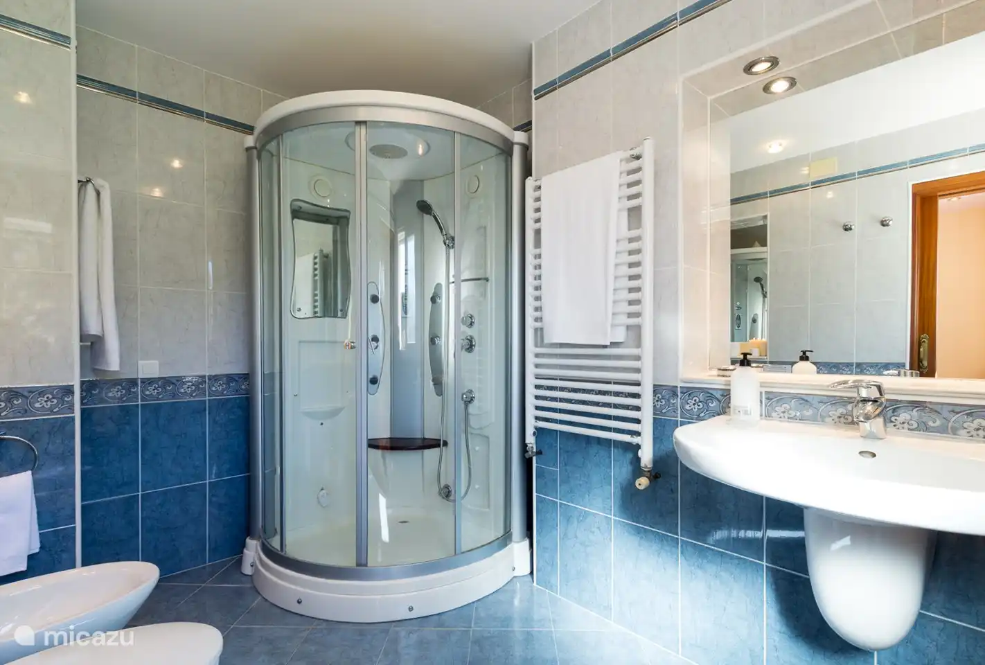 Bathroom with massage shower