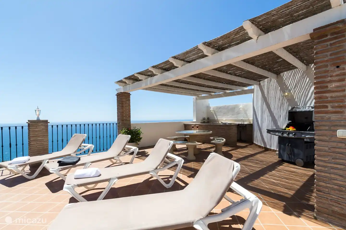 Enjoy sunbathing and barbecuing