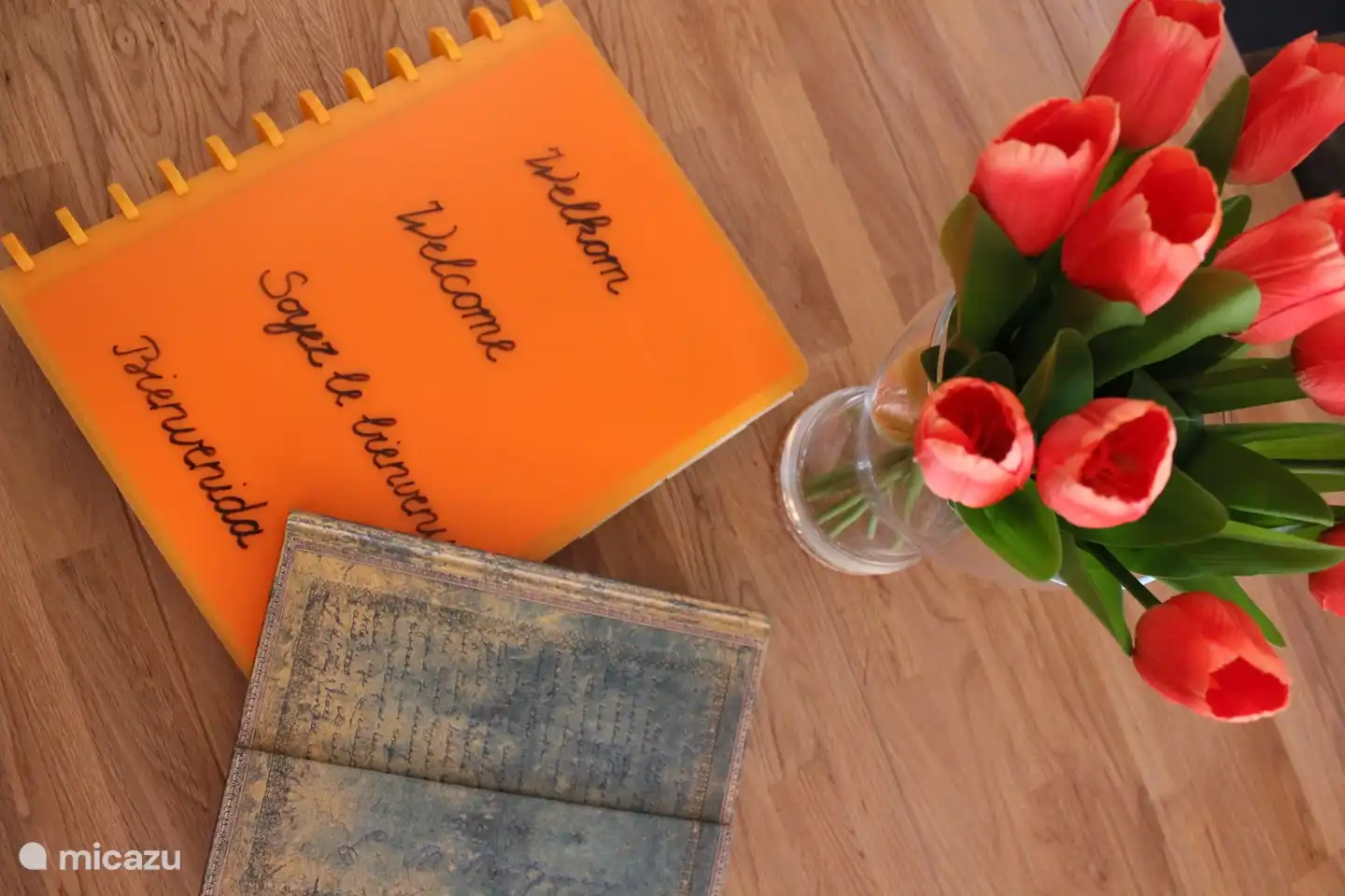 Libro de bienvenida y libro de visitas