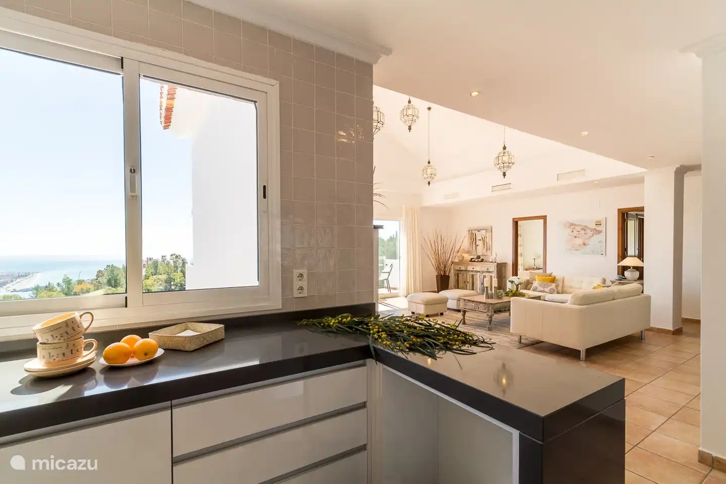 Kitchen and living room