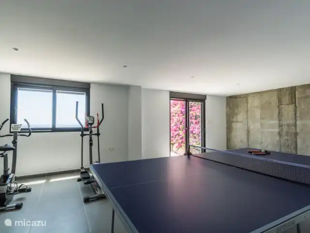 villa huren in Spanje, Costa Tropical, Salobreña – Villa29 Tafeltennissen en fitnessen