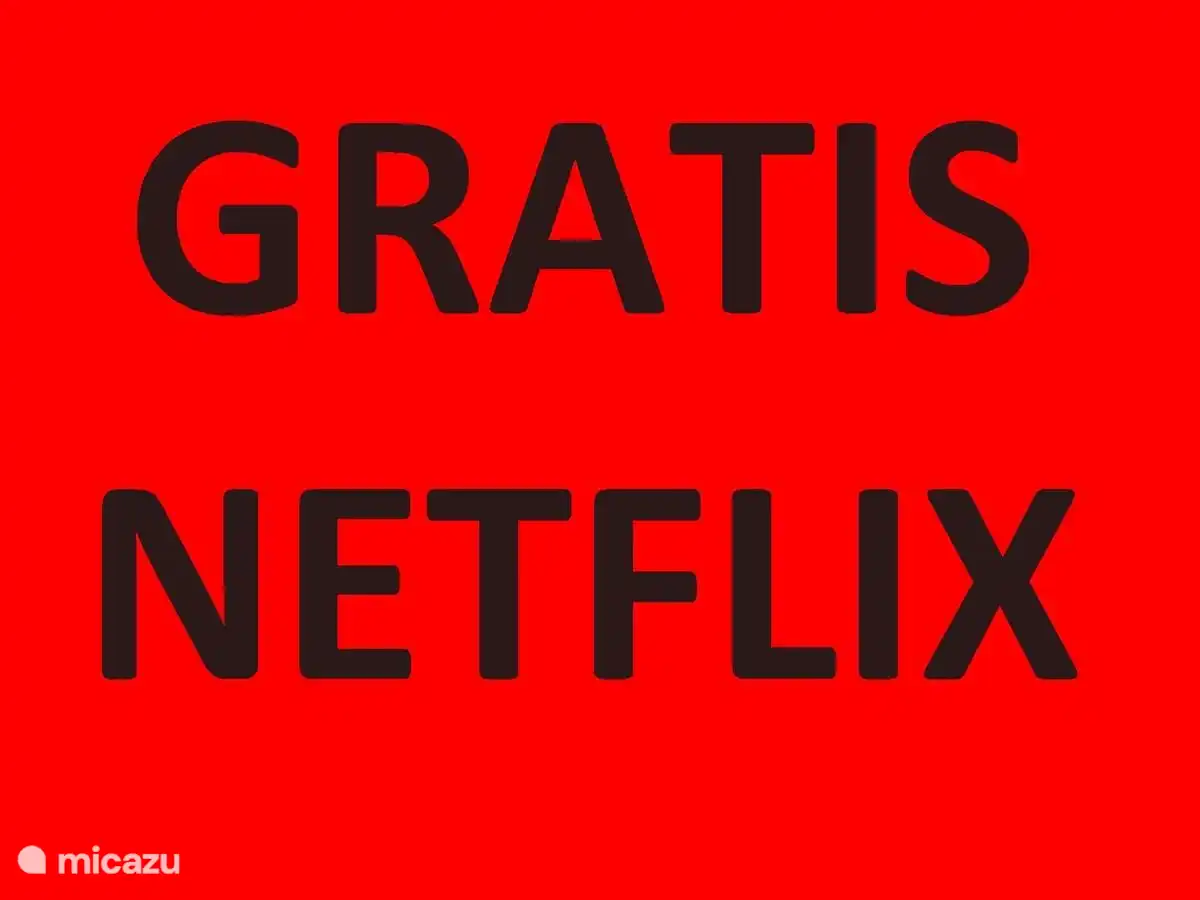 Free Netflix