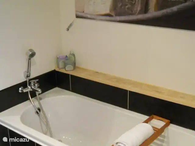 Gîte les 3 Etoiles d'Auvergne | France, Puy-de-Dôme, Égliseneuve-d'Entraigues - gîte / cottage Salle de bain Gite les 3 Etoiles d'Auvergne - Maison van Stijn