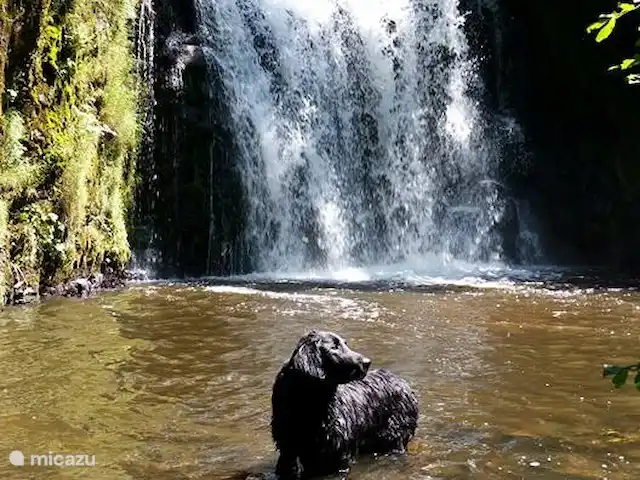 Gîte les 3 Etoiles d'Auvergne | France, Puy-de-Dôme, Égliseneuve-d'Entraigues - gîte / cottage Cascade à distance de marche du gîte - Maison van Stijn