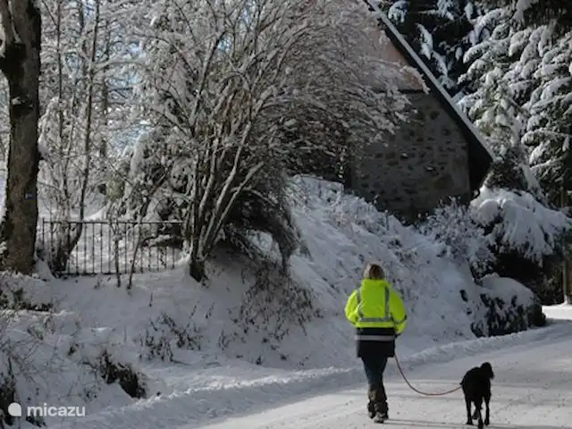 Gîte les 3 Etoiles d'Auvergne | France, Puy-de-Dôme, Égliseneuve-d'Entraigues - gîte / cottage Aussi pour les sports d'hiver avec votre chien - Maison van Stijn