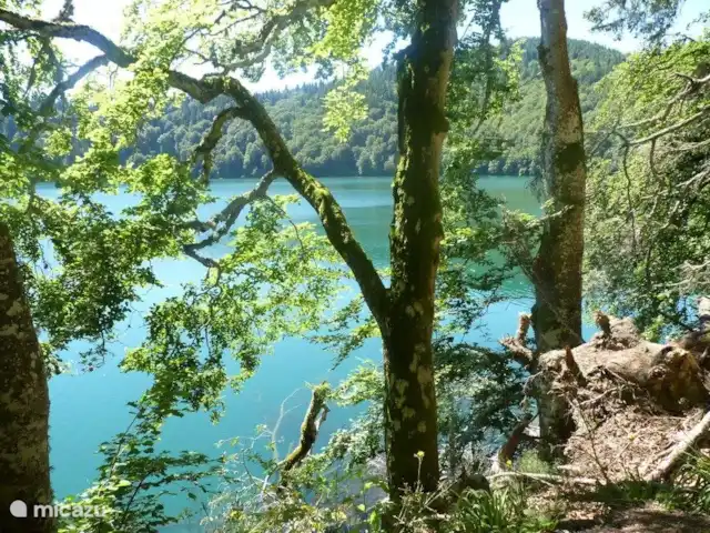 Gîte les 3 Etoiles d'Auvergne | France, Puy-de-Dôme, Égliseneuve-d'Entraigues - gîte / cottage Cascades, rivières, lacs, forêts, prairies, montagnes et volcans. Belle toute l'année !