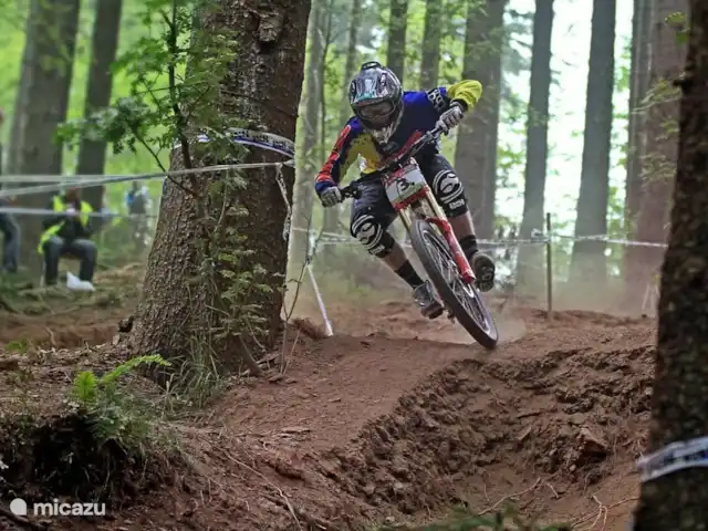 Jagdhaus am Rappelstein | Allemagne, Sauerland, Nordenau - Winterberg - maison de vacances vélo de montagne