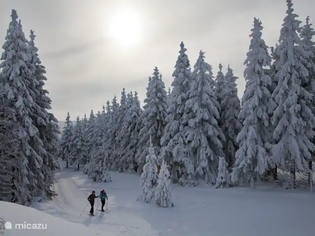 Jagdhaus am Rappelstein | Allemagne, Sauerland, Nordenau - Winterberg - maison de vacances Ski de fond