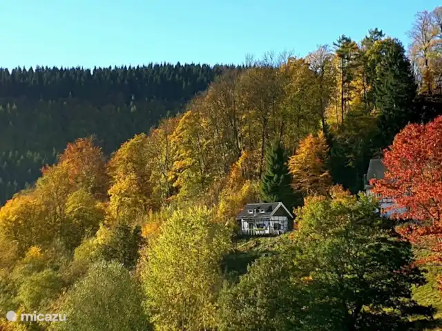 Jagdhaus am Rappelstein | Allemagne, Sauerland, Nordenau - Winterberg - maison de vacances