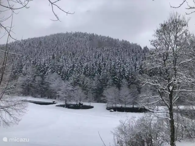 Jagdhaus am Rappelstein | Allemagne, Sauerland, Nordenau - Winterberg - maison de vacances