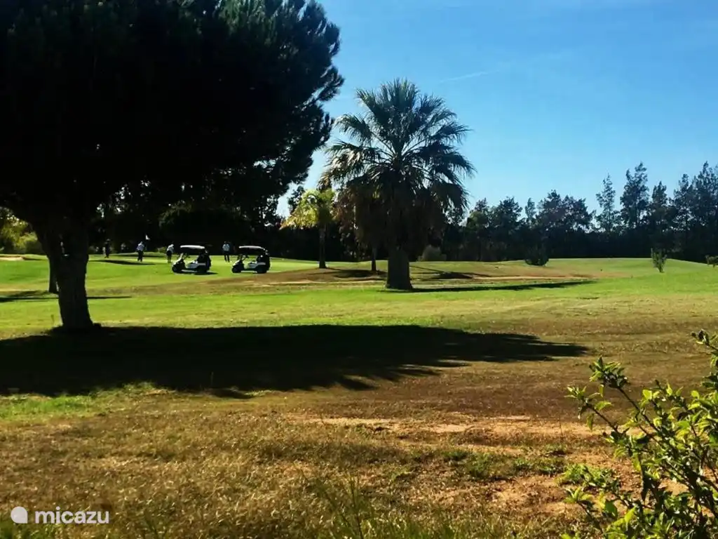 Golfplätze in fußläufiger Entfernung