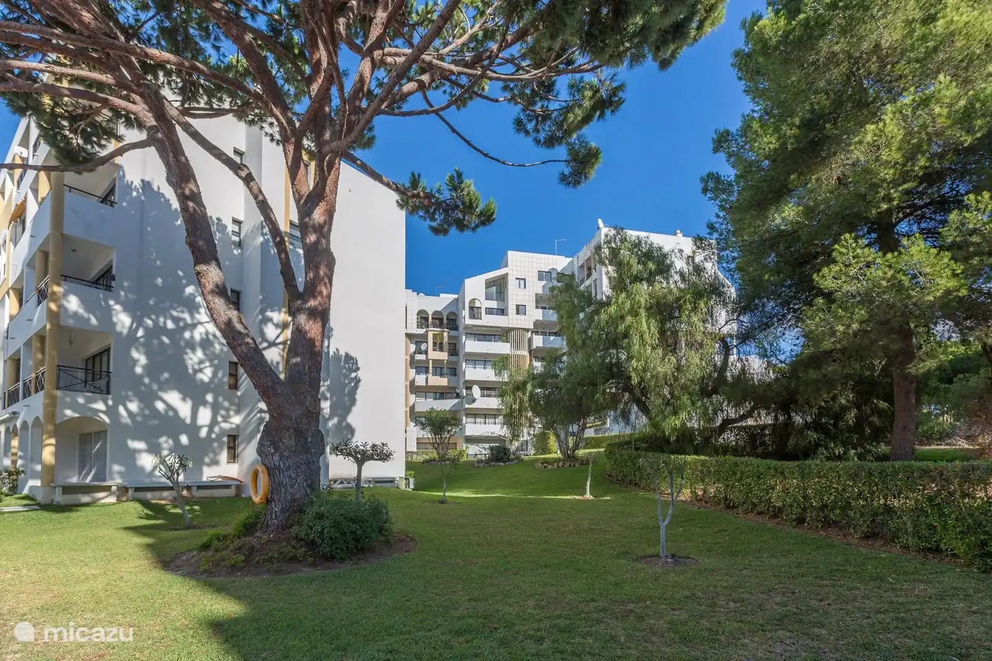 Prachtige tuin van het condominium