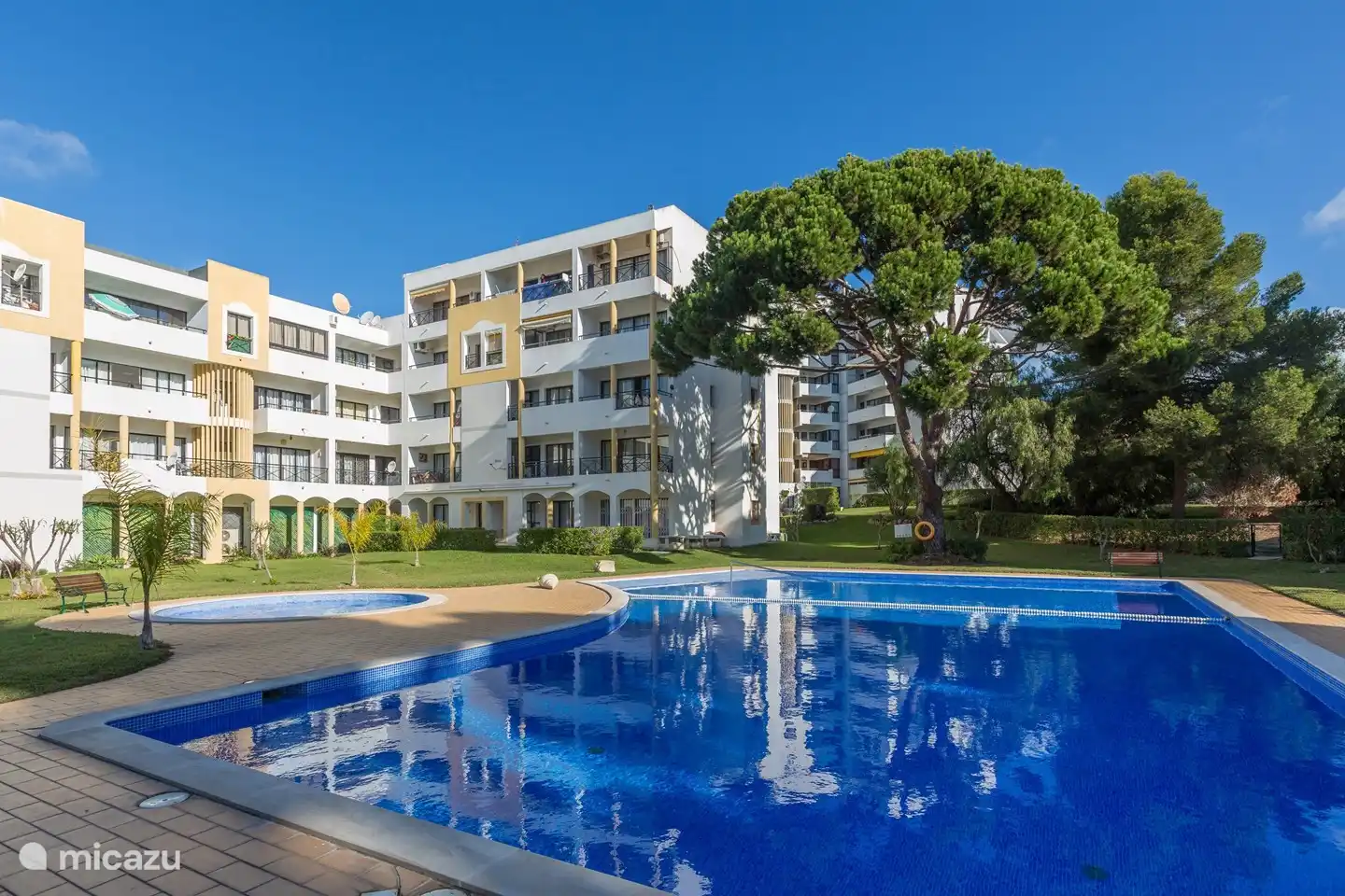 Zwembad en aanzicht accommodatie