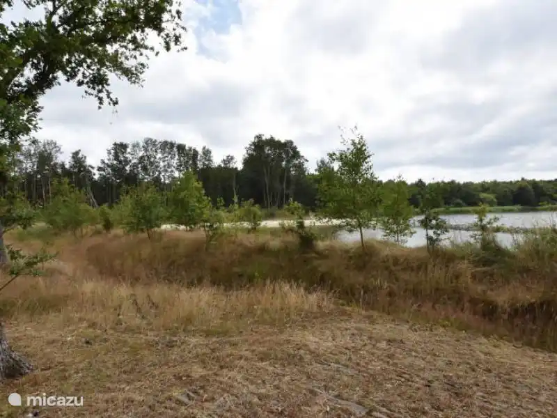 Sandy beach within walking distance.