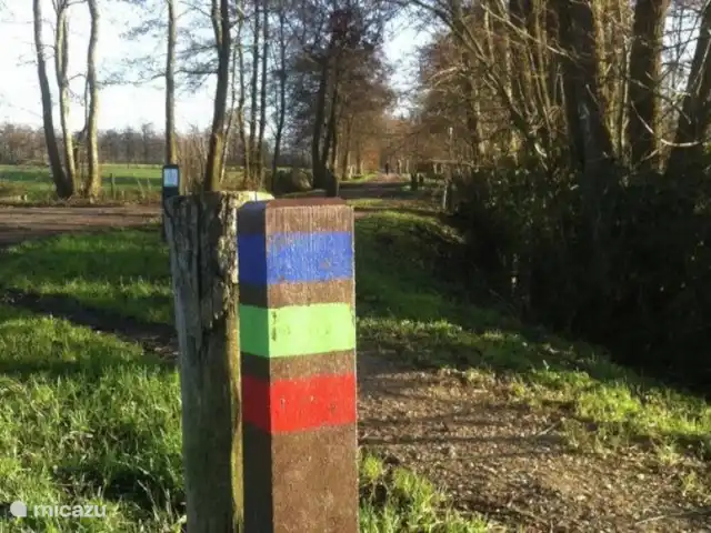 los coulisses en Países Bajos, Frise, Eastermar - casa vacacional Ambiente.